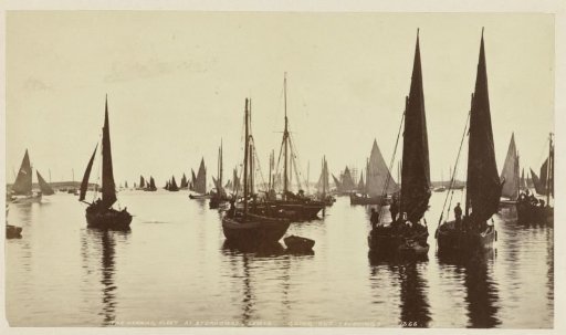 Herring Ships at Stornoway on Lewis