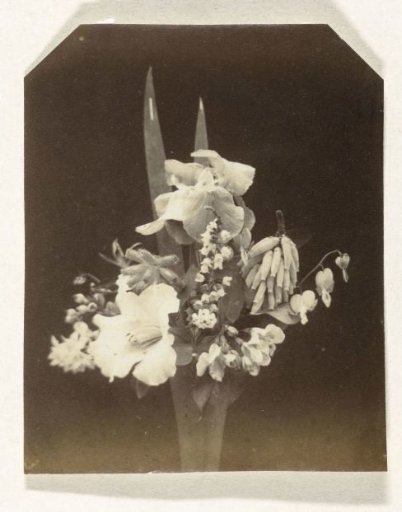 Flower Still Life