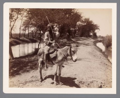 Unknown boy on a donkey
