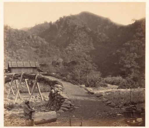 Bridge in the Valley of Mayonashi in Japan
