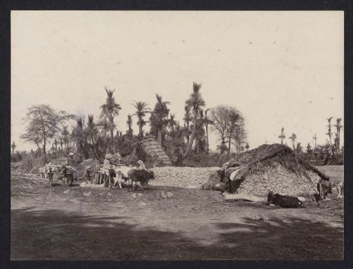 Sugar Mill at a Field near Shergarh, Punjab (India or Pakistan)