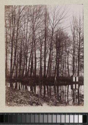 View of a pond with trees and a house