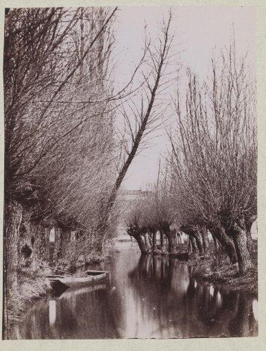 View of a river with trees