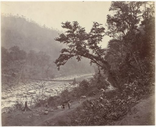 Suspension bridge on the Rangit river near Darjeeling, West Bengal, India