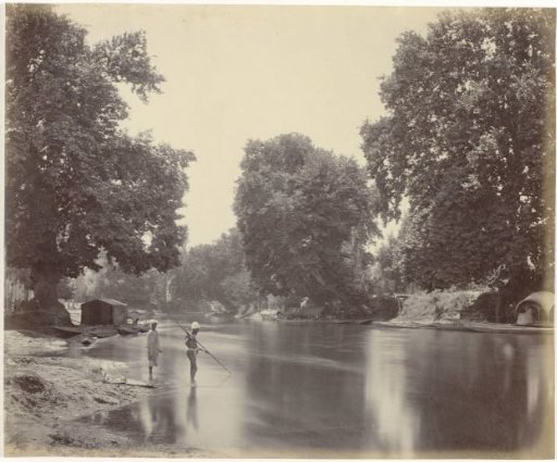 Trees on the Dal lake canal, with two fishermen in the foreground