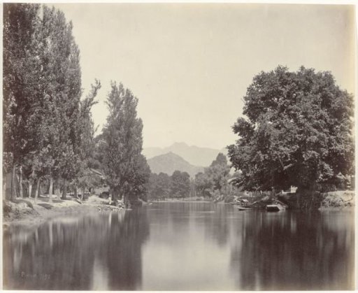 View of a canal of the Dal lake near Srinagar, Jammu & Kashmir, India