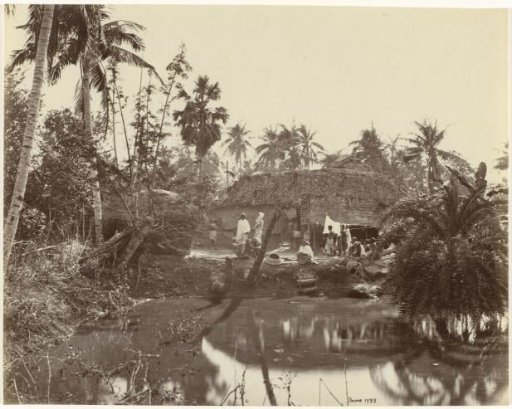Village view on a riverbank in Bengal, India