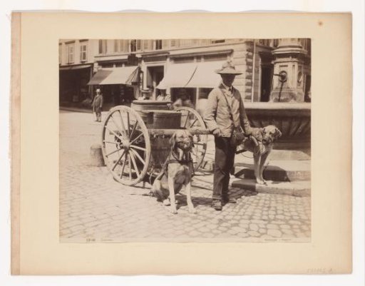 Dog cart on the street in Lucerne, Switzerland