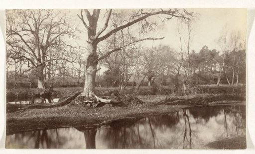 Landscape with a tree beside a river