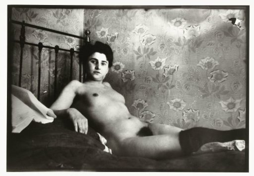 Portrait of a Reclining Female Nude