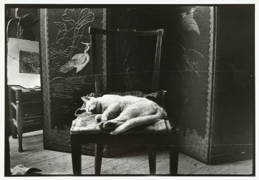 Kat op een stoel in Breitner's atelier in Amsterdam