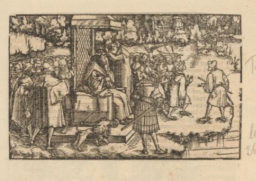 Fierce Crowd and a King Being Crowned in a Field