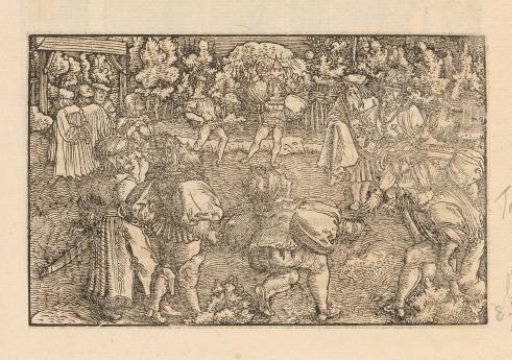 Ball game in a garden