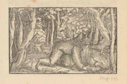 Hairy man crawling through a forest