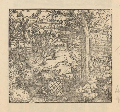 Hunt for boars and rabbits in the hedges