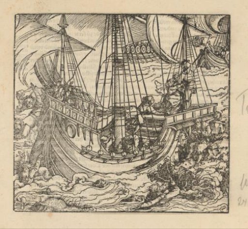 Shipwreck