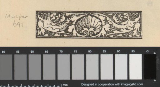 Shell and Ornaments with Leaf Motif