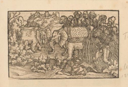 Men on Elephants and Camels