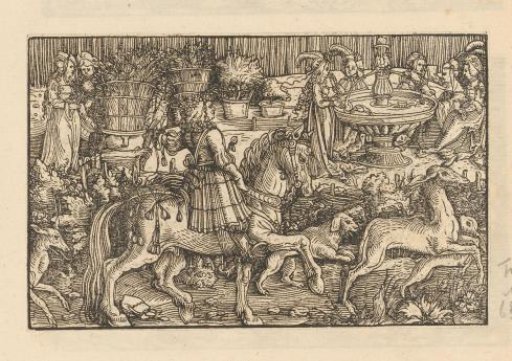 Rider with wild animals in a courtyard