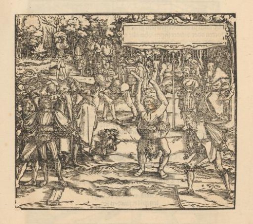 Brawls with spectators