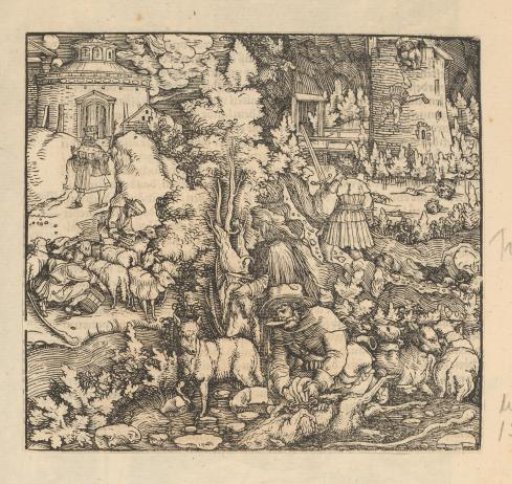 Shearing, milking and slaughtering of sheep