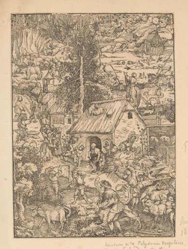 The Human and Animal Kingdom Around a House