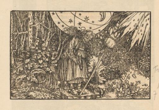 Woman with a distaff in a forest and under a vaulted sky