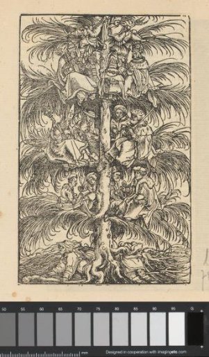 Family Tree