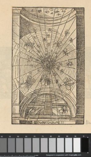 Vault with a Spiderweb