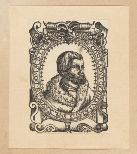 Portrait of Conrad Gesner at the age of 39