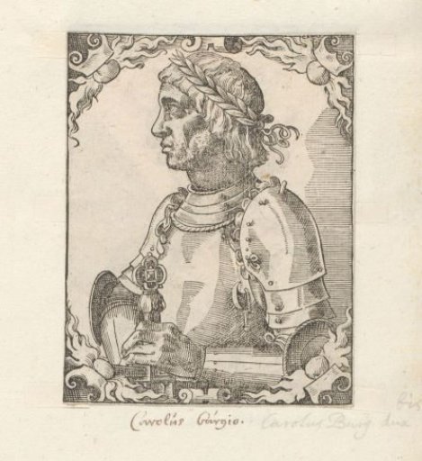 Portrait of Charles the Bold