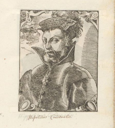 Portrait of Ippolito de' Medici