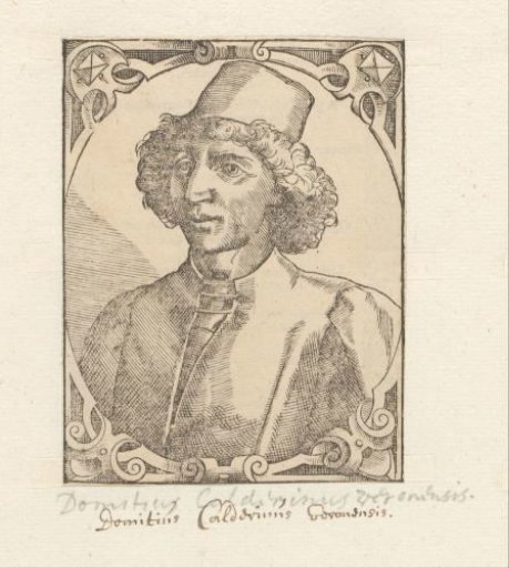 Portrait of Domizio Calderini