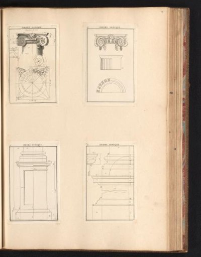 Columns of the Ionic order