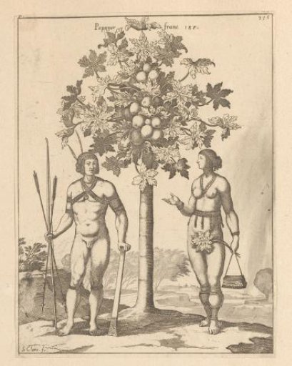 Two Caribs (Kalinago and a Kalipuna) on Either Side of a Papaya Tree