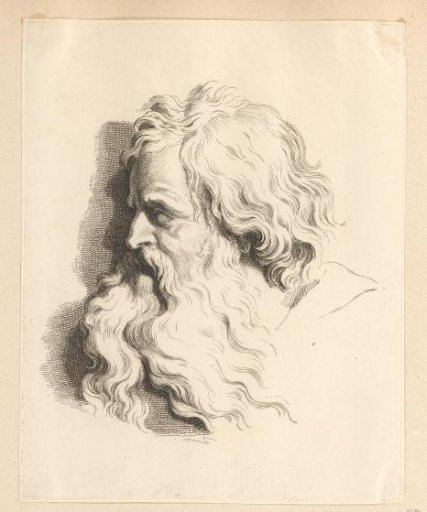 Head of an old man with a beard, in profile