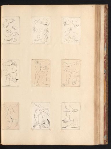 Nine Drawing Examples of Hands, Arms, and Feet