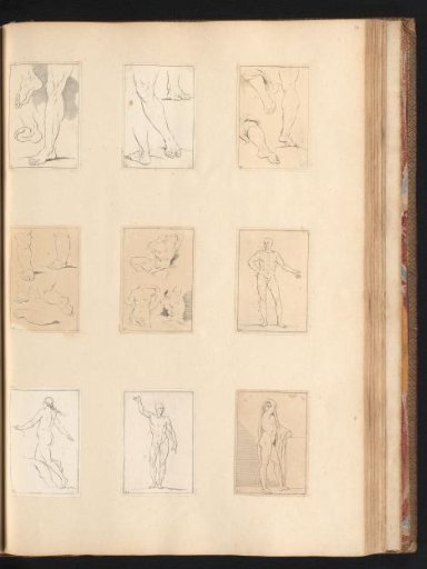 Nine Drawing Examples of Legs, Torsoes, and Bodies