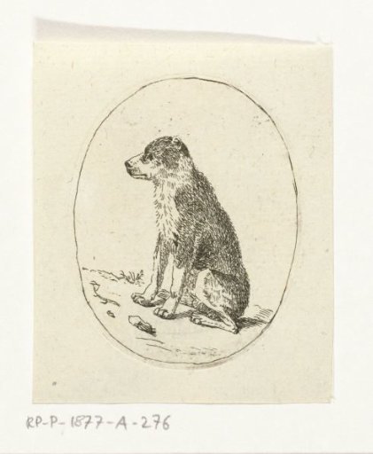 Sitting dog