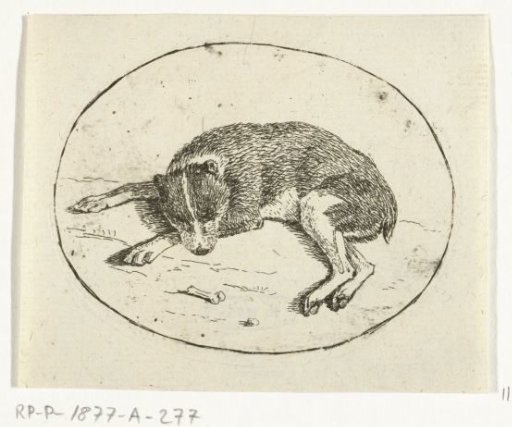 Lying dog