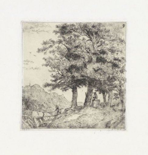 Landscape with Beech Wood