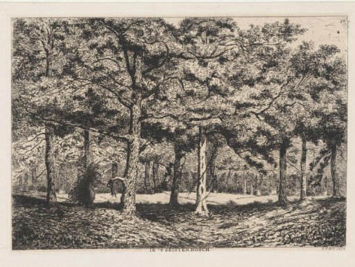 Wood with a Gleaner
