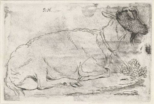Reclining Goat