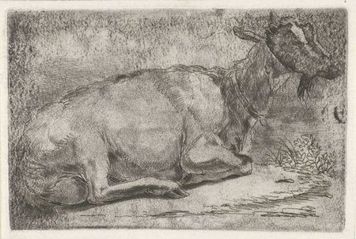 Reclining Goat