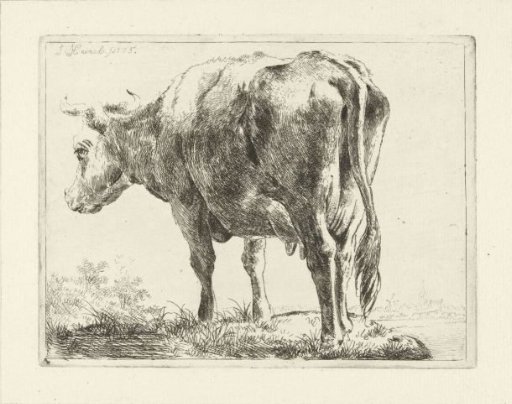 Cow in a Landscape