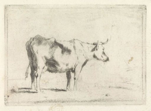 Cow, facing right