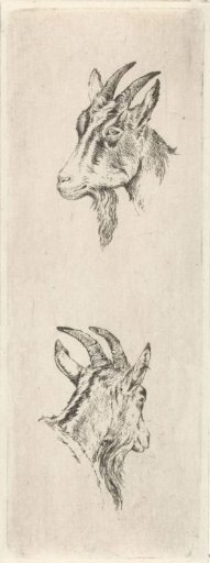 Goat's head