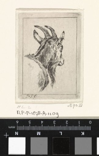 Goat's head