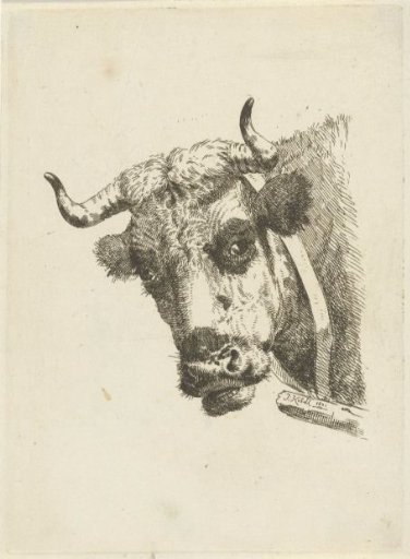 Head of a cow