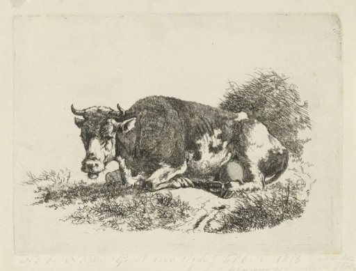Lying cow